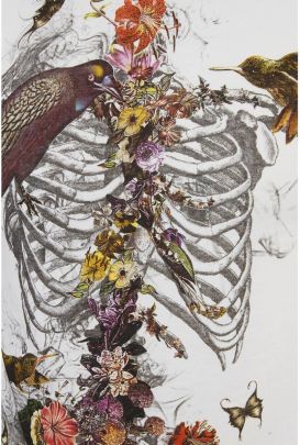 skeleton with flora and birds