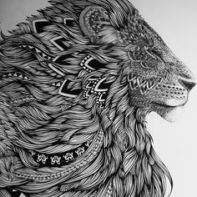 zentangle lion profile