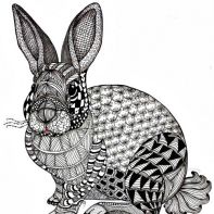 zentangle rabbit