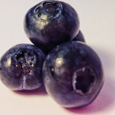 bluberries 3