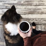 coffee and dog morning