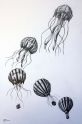 hot air balloon to jellyfish