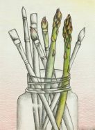 paintbrush asparagus